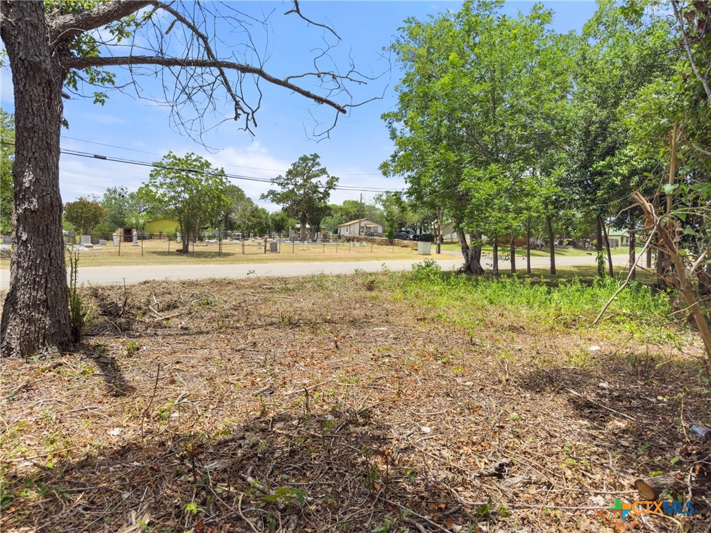 1140 North Hackberry Avenue Luling, TX 78648 - Photo 9 of 20 a view of a yard with a tree