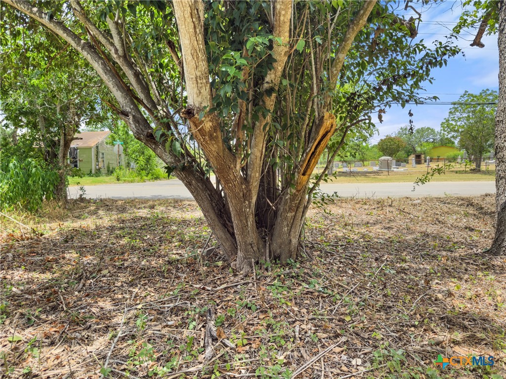 1140 North Hackberry Avenue Luling, TX 78648 - Photo 10 of 20 a view of backyard of a house with outdoor seating and trees