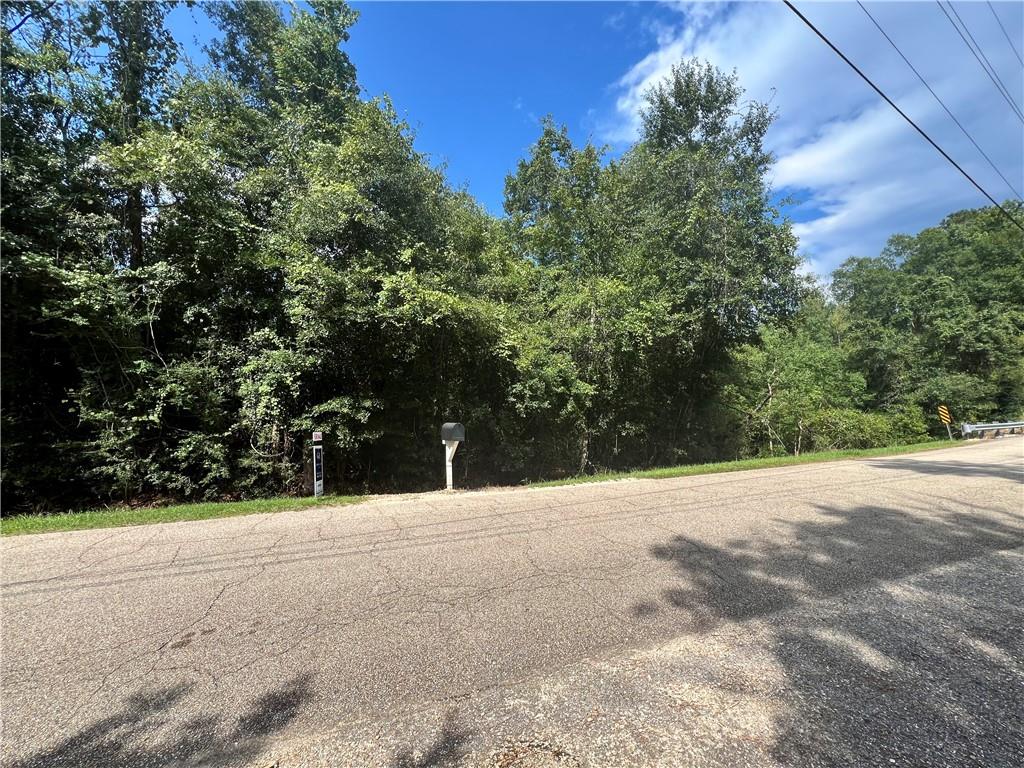 0 South Fitzmorris Road Covington, LA 70435 - Photo 4 of 4