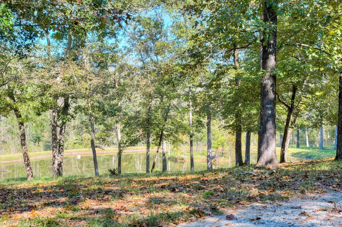 1488 Hatchaway Bridge Road Aiken, SC 29801 - Photo 52 of 65