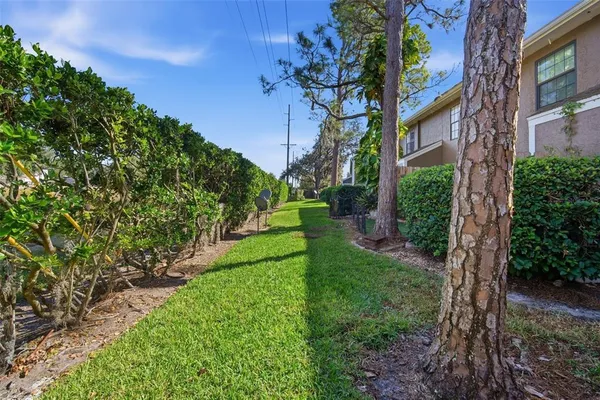 $1,800 | 16545 Brigadoon Drive, Tampa, FL 33618