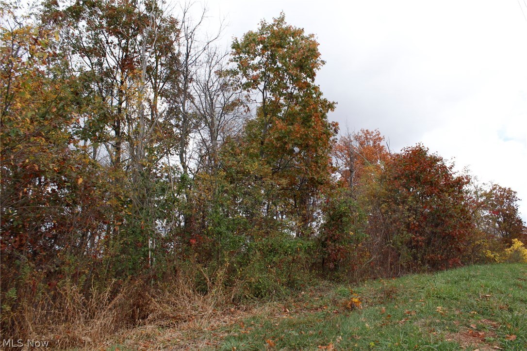 565 State Route Lower Salem, OH 45745 - Photo 11 of 14 Gallery Image 11