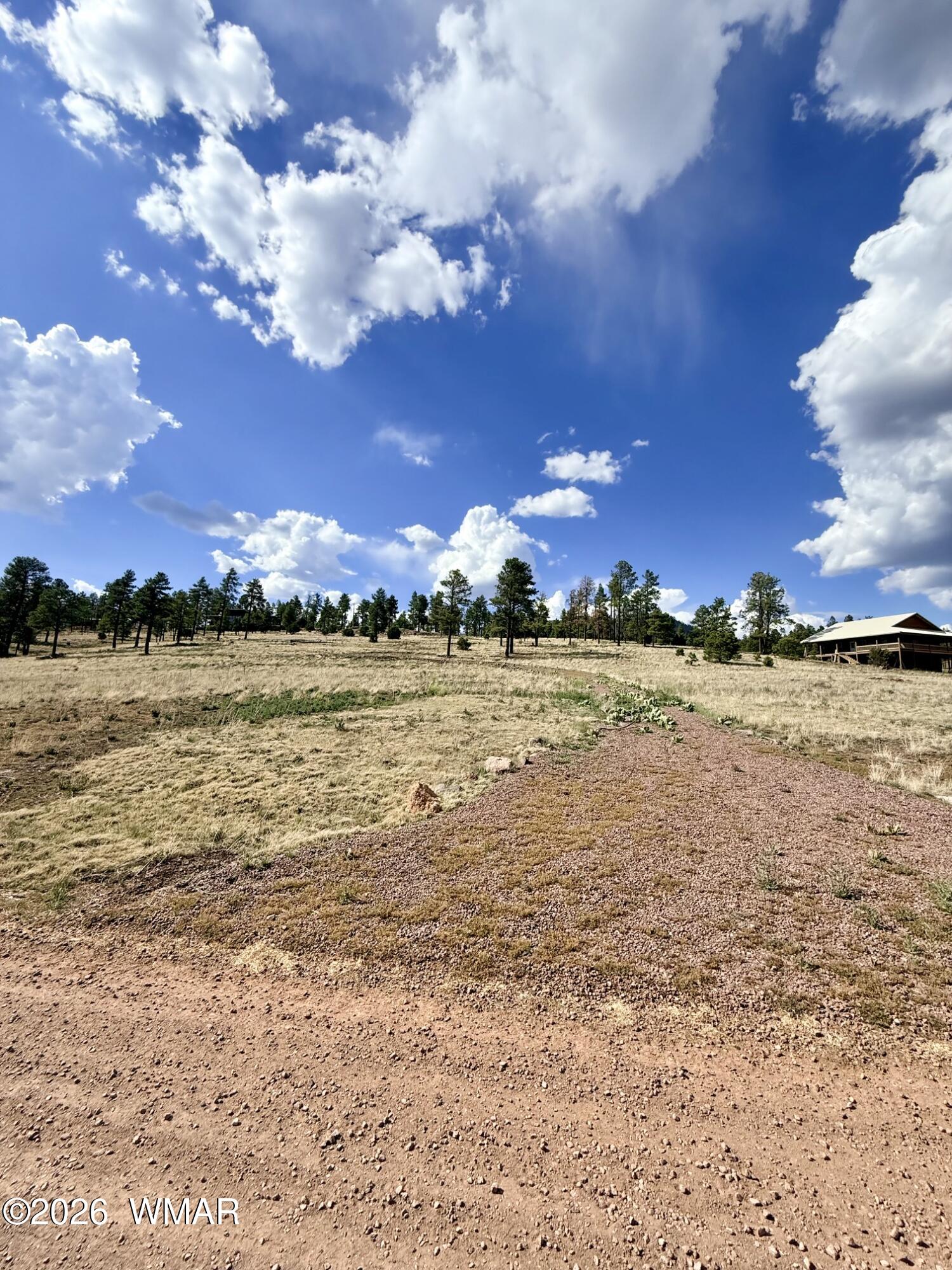 32 The Ranch Alpine, AZ 85920 - Photo 3 of 11