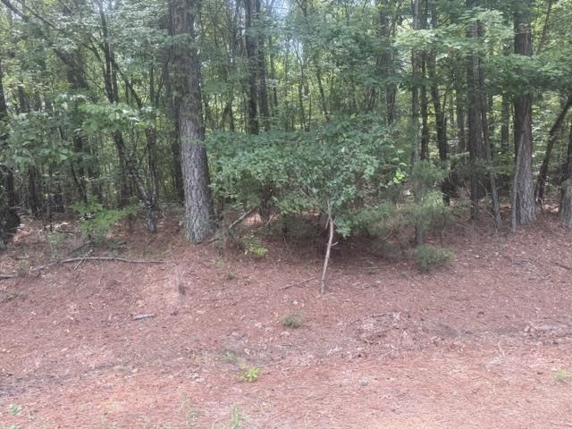 4 Hardin Graveyard Road Enville, TN 38332 - Photo 9 of 29