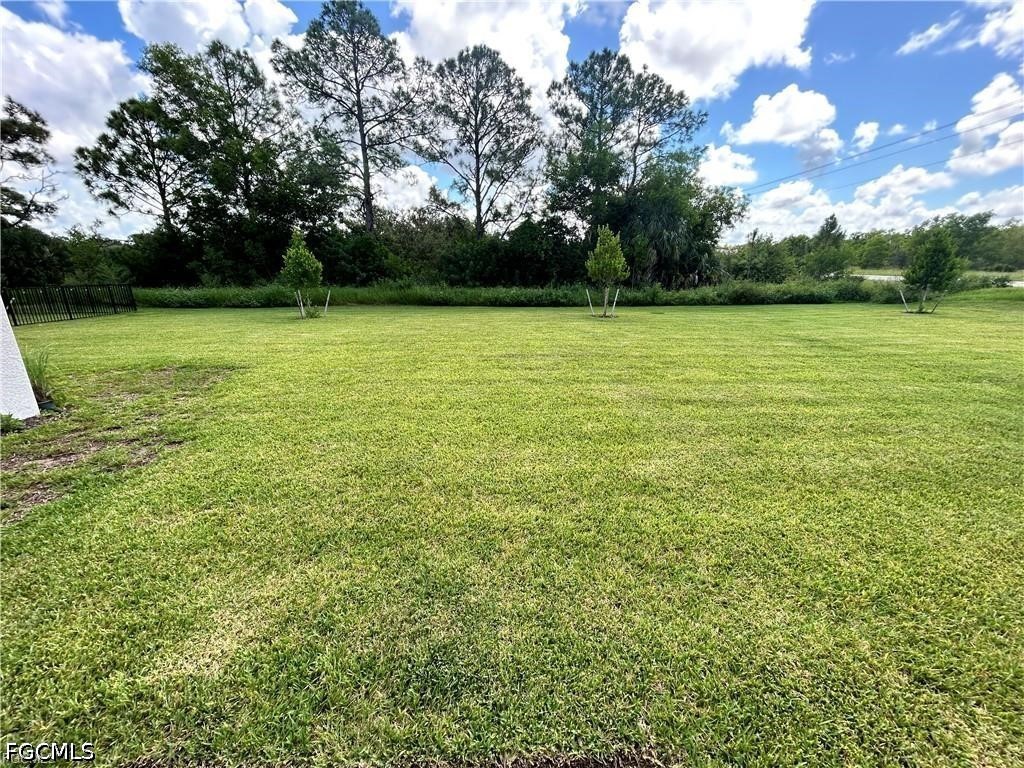12441 Dakota Ridge Place Lehigh Acres, FL 33974 - Photo 16 of 16 a view of a garden with a tree