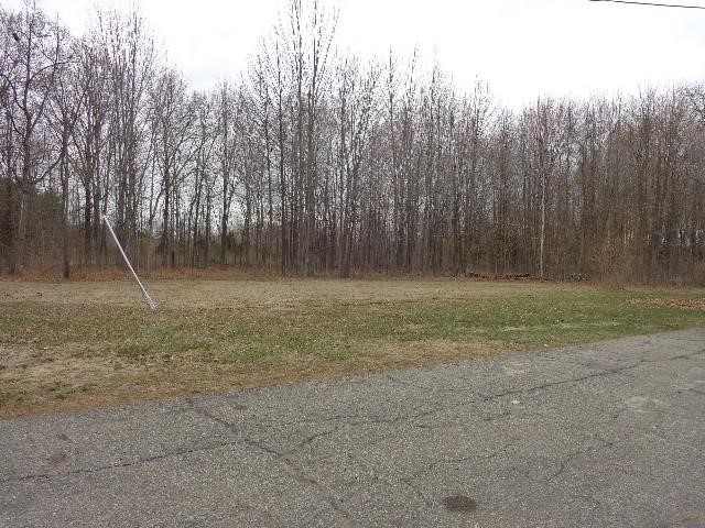 13416 Nichols Road Montrose, MI 48457 - Photo 12 of 12 21443776-11.JPG