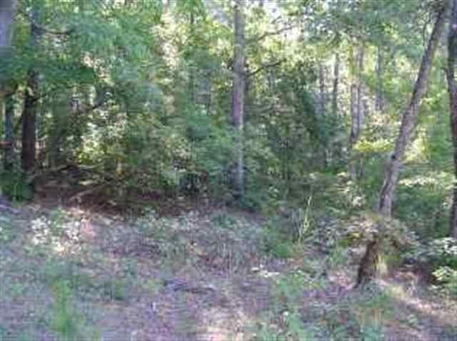 Lot 2 Acres Road Westminster, SC 29693 - Photo 2 of 5 Gallery Image 2