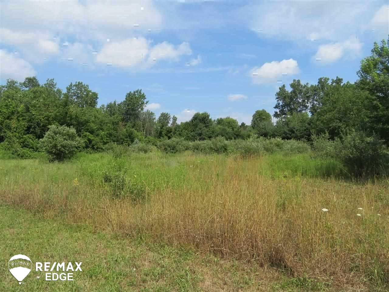 Parcel C East Wilson Road Otisville, MI 48463 - Photo 6 of 7