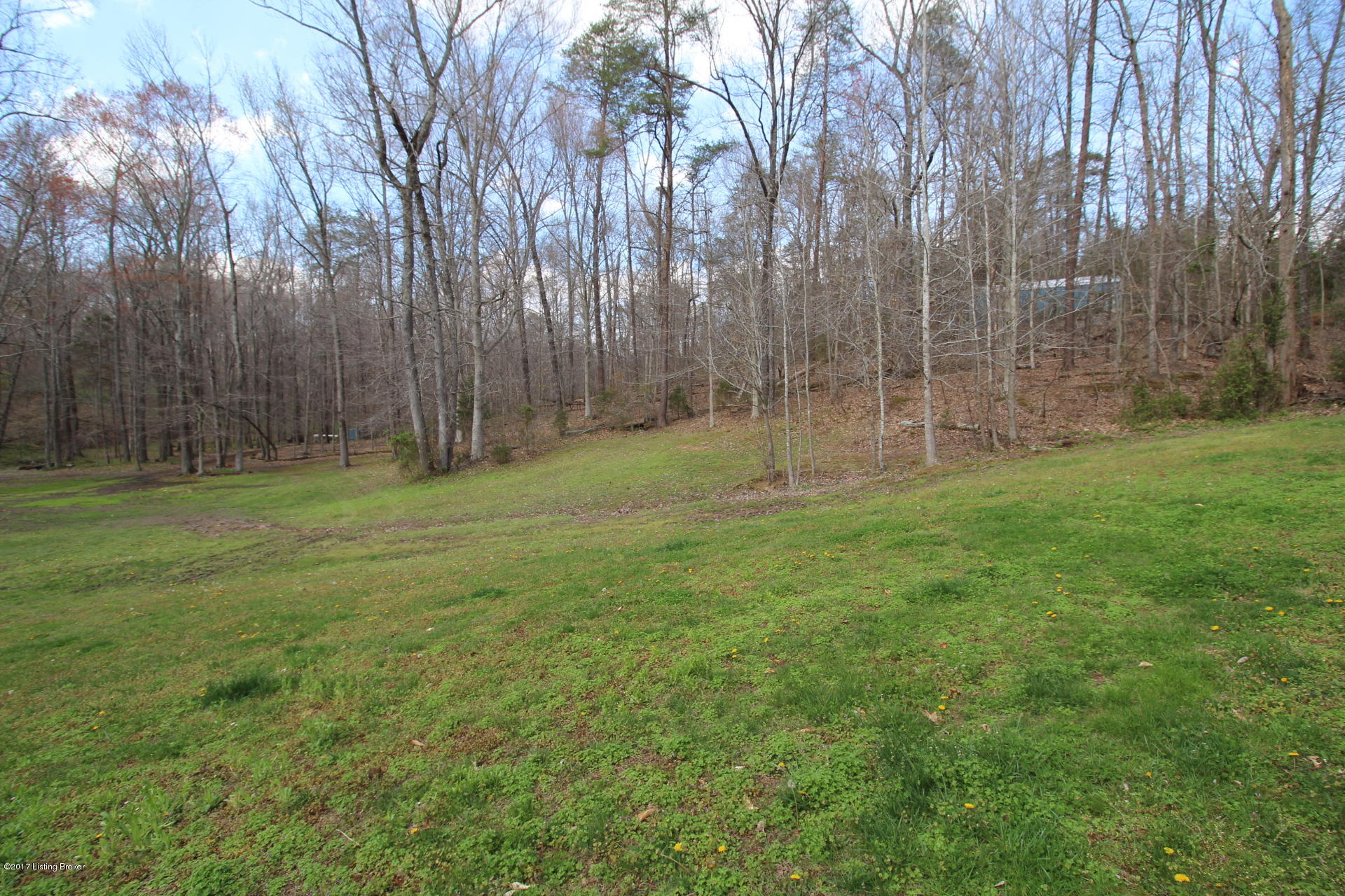 6810 Nat Rogers Road Boston, KY 40107 - Photo 32 of 40 IMG_3902