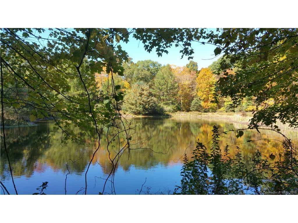 100 B Bedlam Road Chaplin, CT 06235 - Photo 1 of 1 a black and white photo of a lake