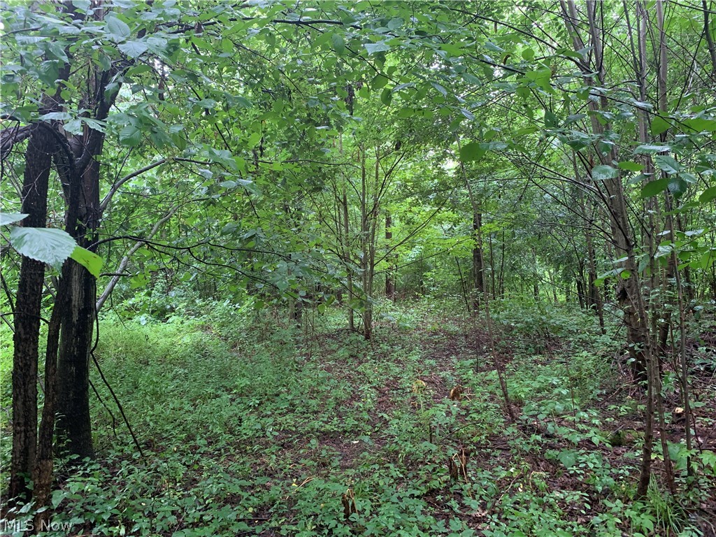 South Ridge Road Conneaut, OH 44030 - Photo 19 of 24