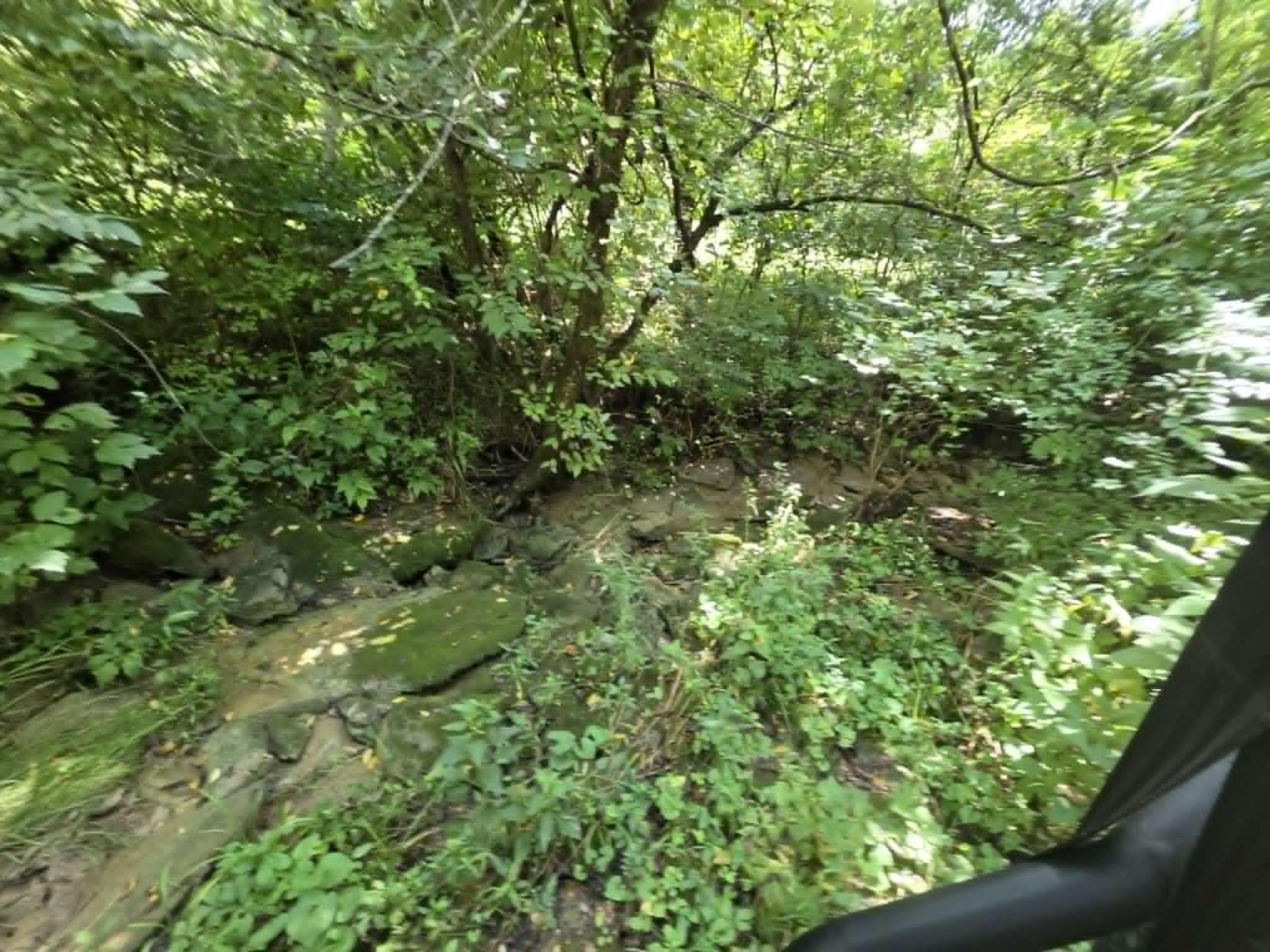 811 Hickory Ridge Road Waddy, KY 40076 - Photo 46 of 79 creek bottom