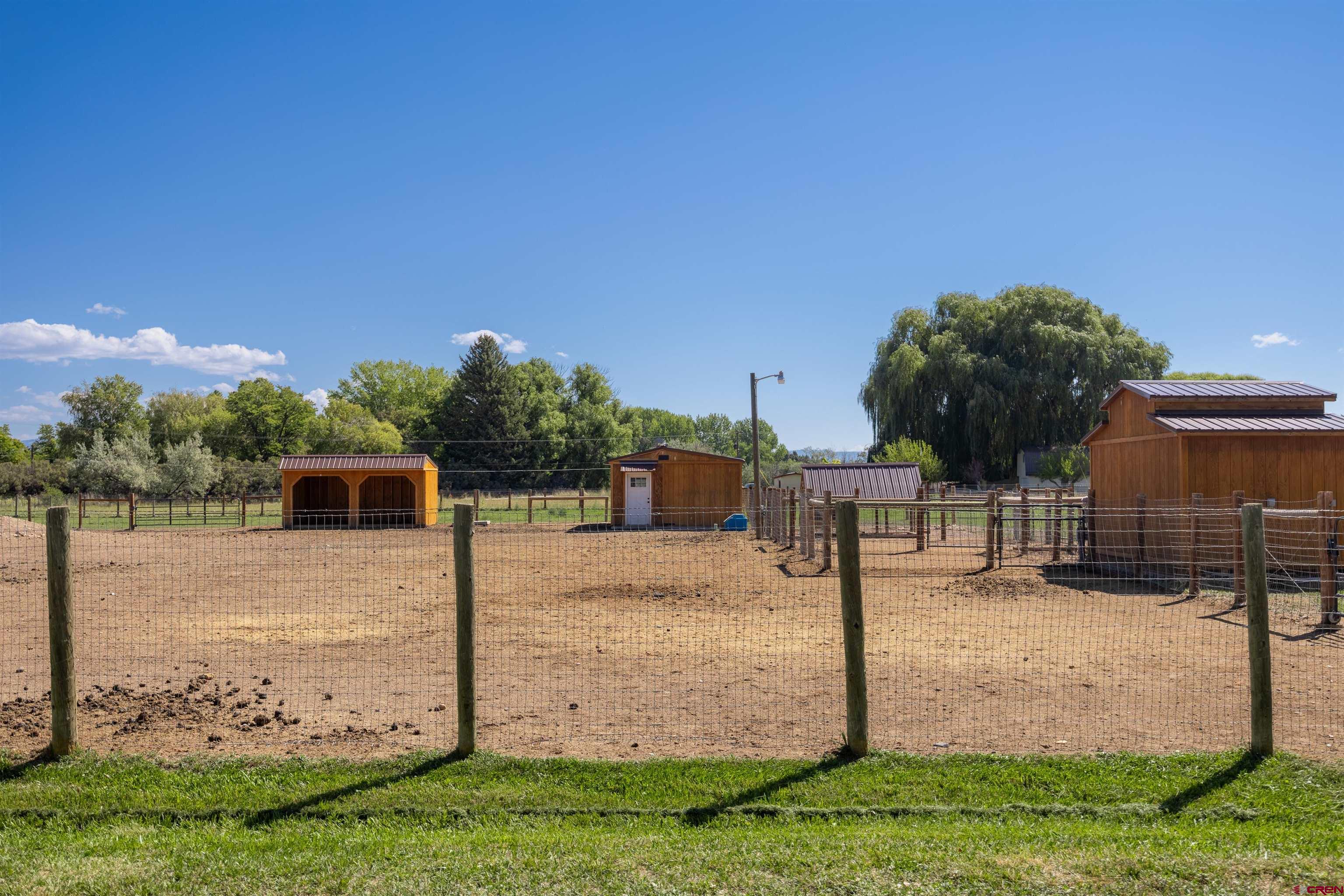 16574 6275th Road Montrose, CO 81403 - Photo 34 of 45 a backyard of a house with lots of green space