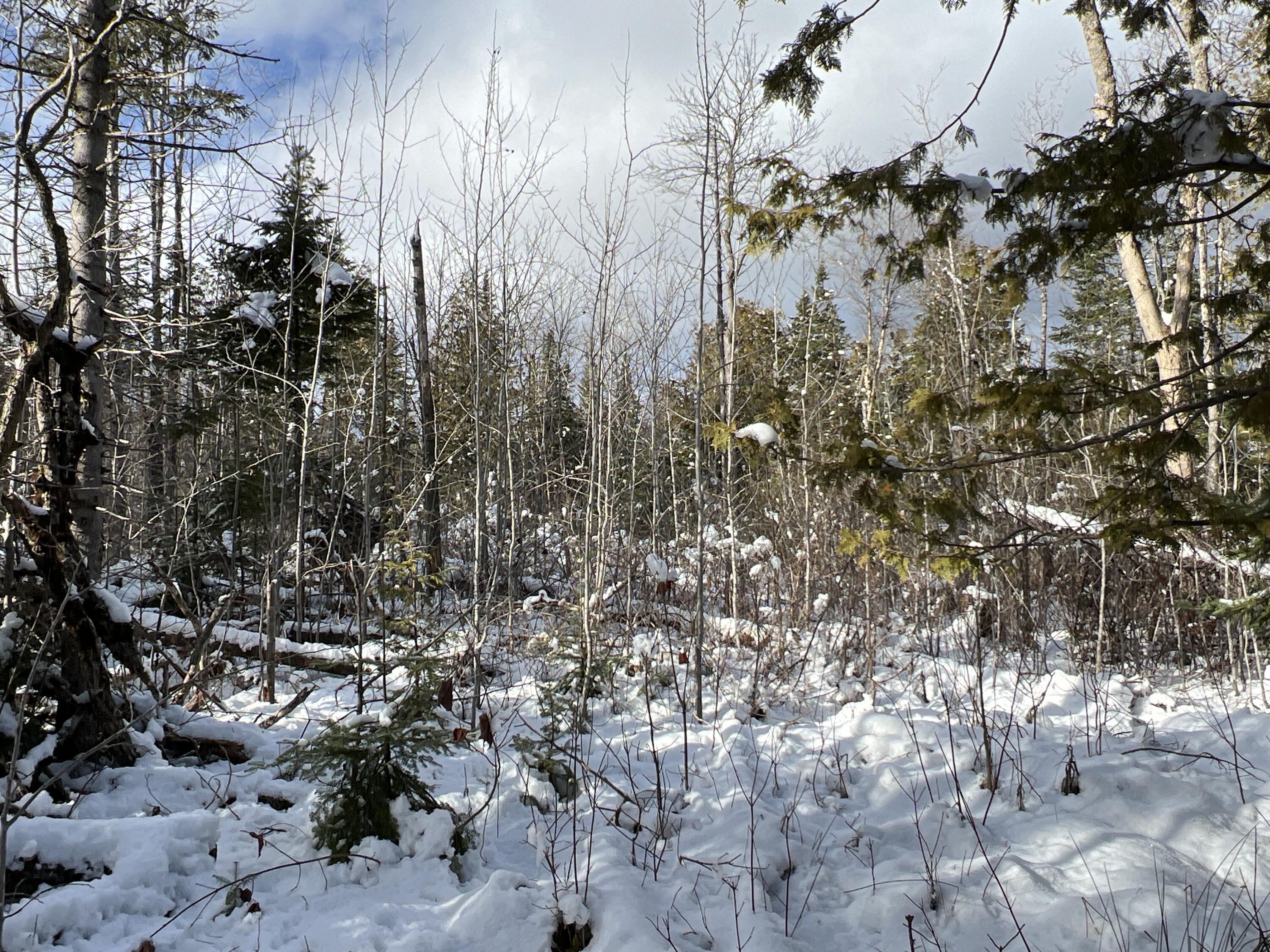 17 Waters Road Patten, ME 04765 - Photo 17 of 31 IMG_2780