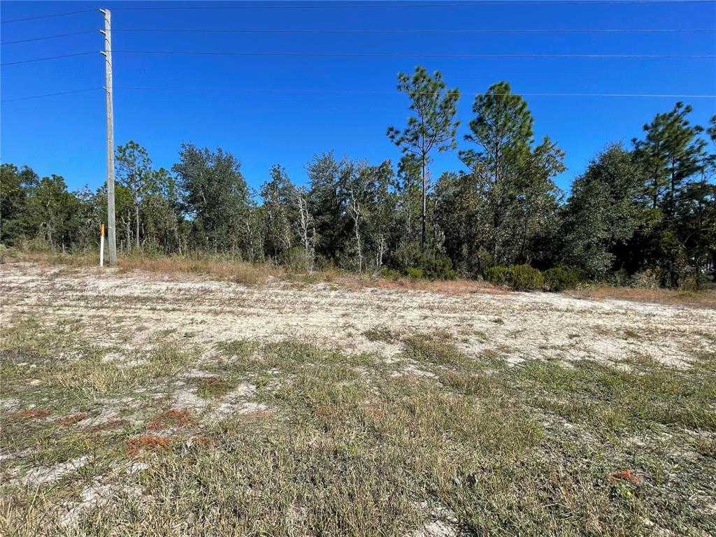 27 Northeast Alt Bronson Bronson, FL 32621 - Photo 2 of 6 a view of a yard with a tree