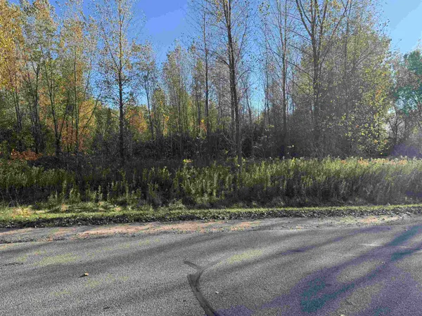 $40,000 | Willow Wood Street, Unit 1, Shawano, WI 54166