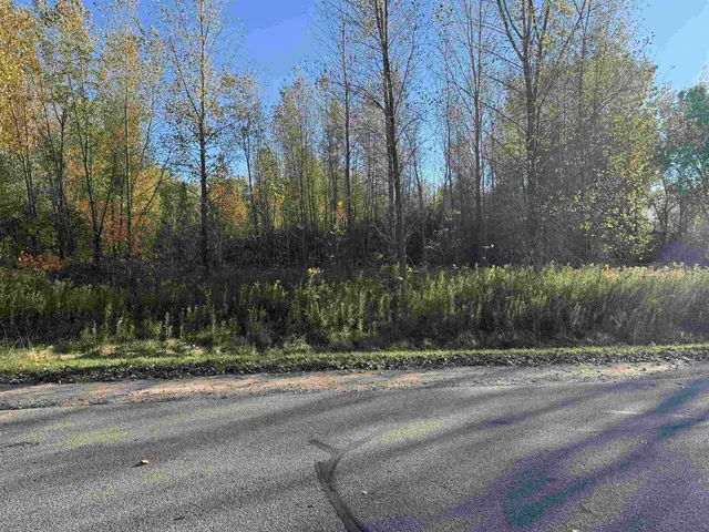 $40,000 | Willow Wood Street, Unit 1, Shawano, WI 54166