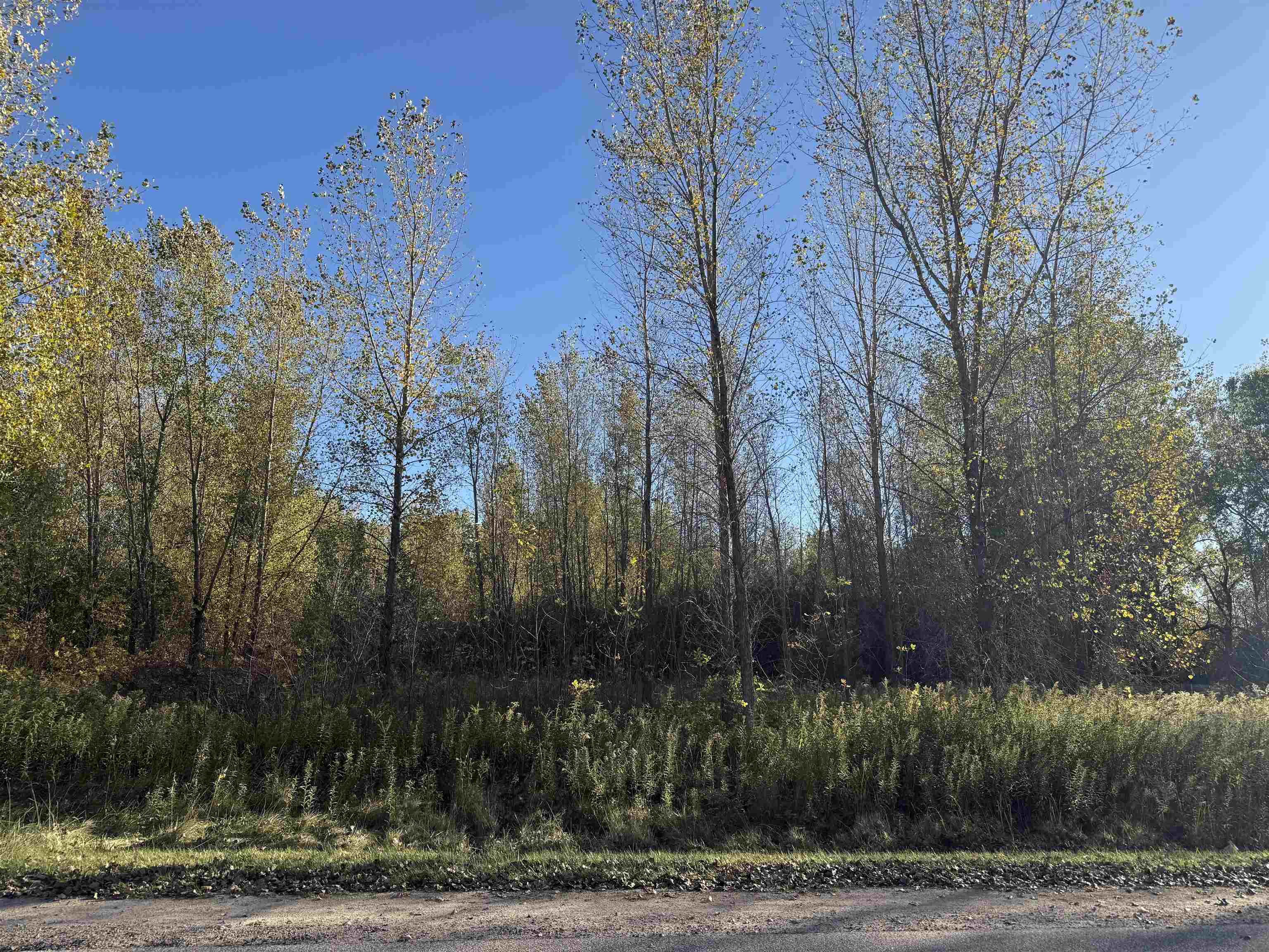 Willow Wood Street, Unit 1 Shawano, WI 54166 - Photo 2 of 2