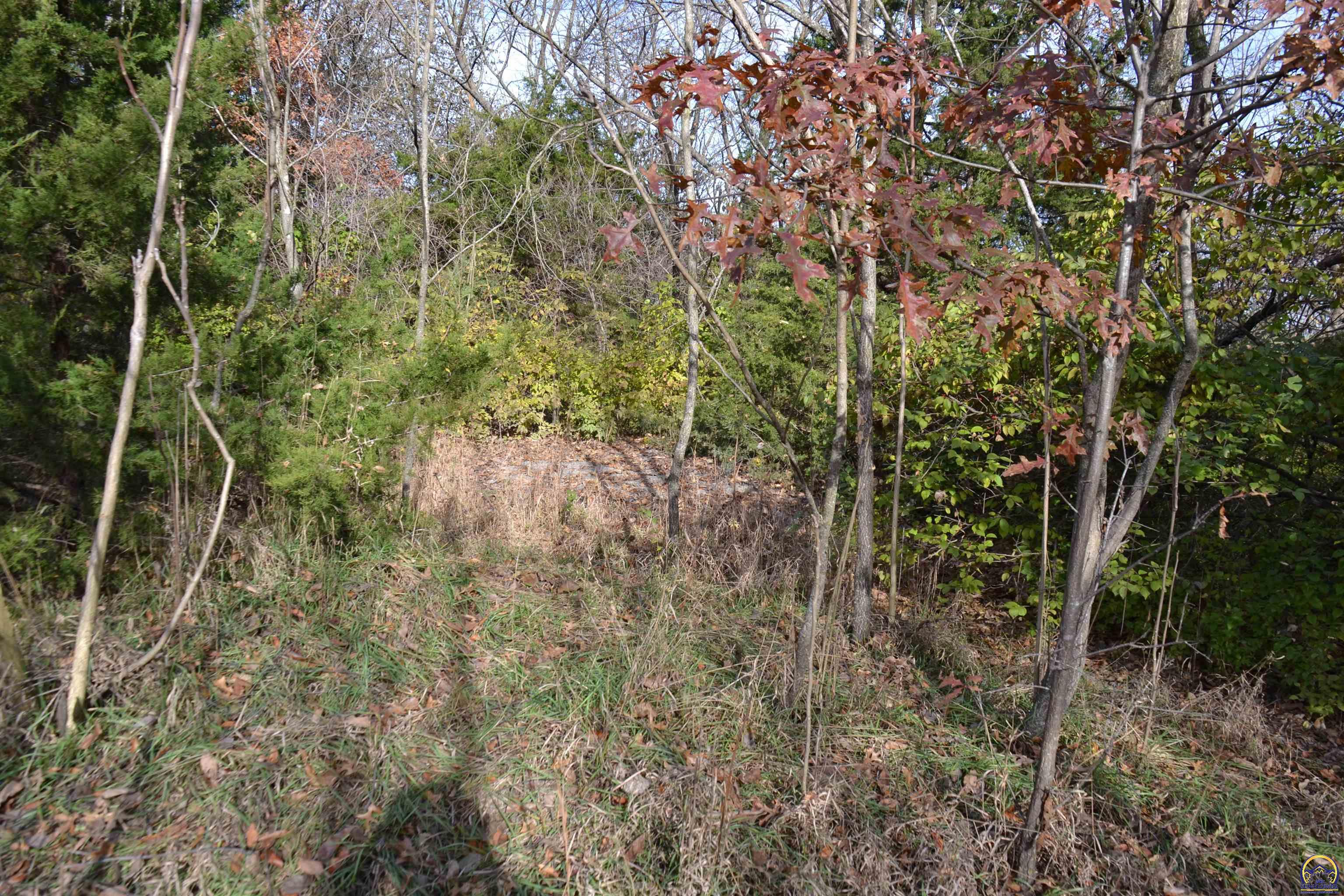 B South B S Auburn Road Burlingame, KS 66413 - Photo 16 of 18