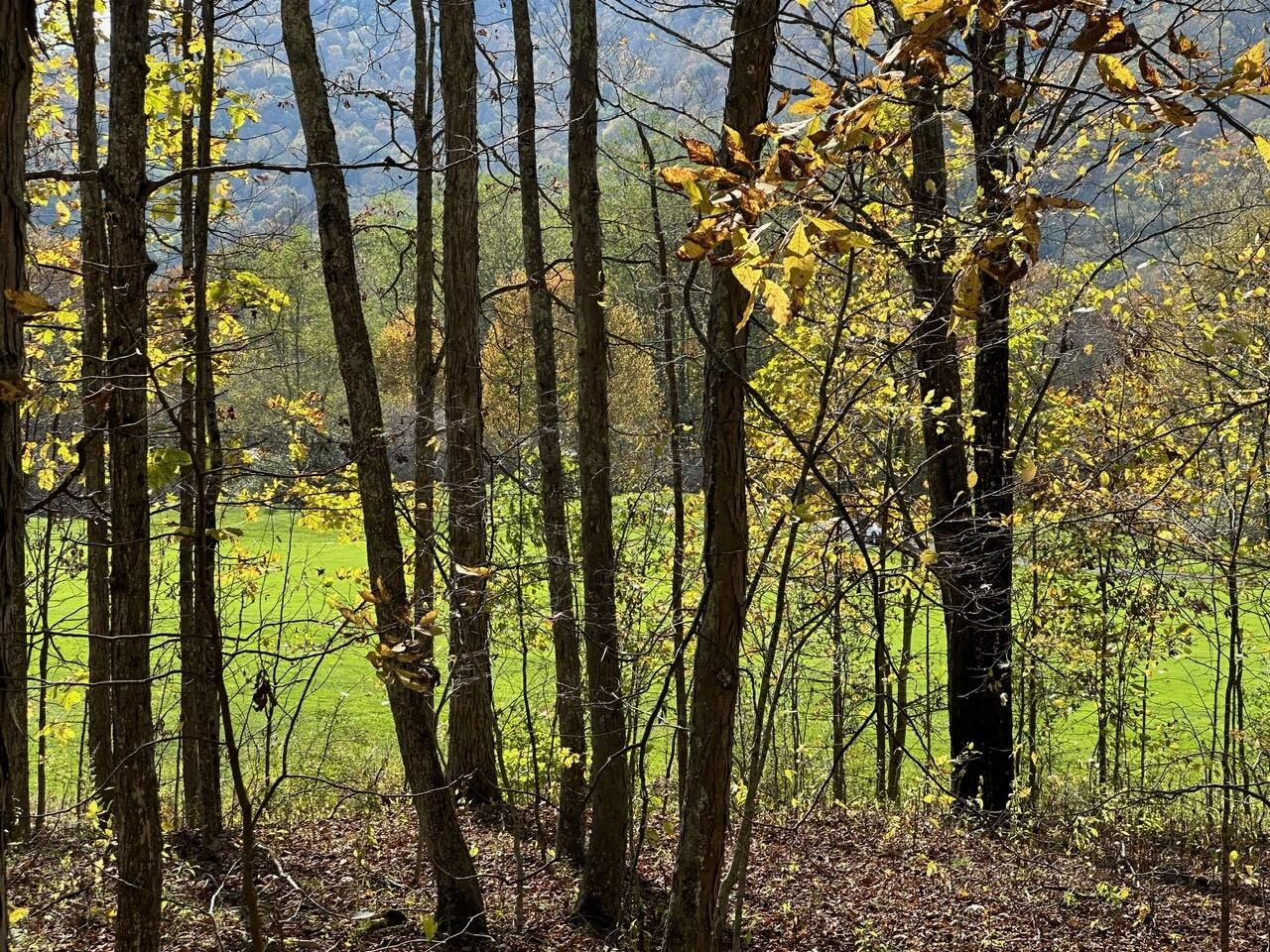 Lot 5 Hawthorne Valley Road Slatyfork, WV 26291 - Photo 5 of 5 Gallery Image 5