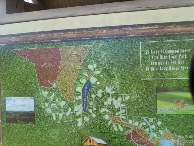 a bird view of a garden