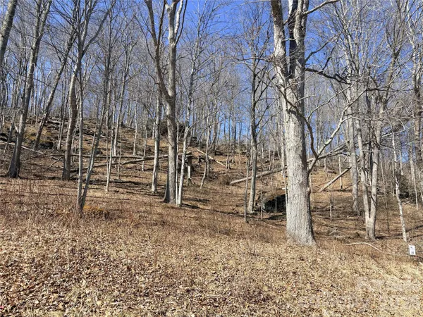 a view of a backyard of the house