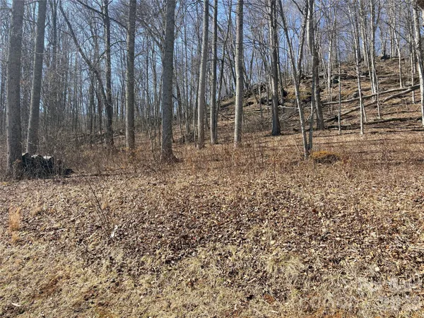 a view of pool and a yard
