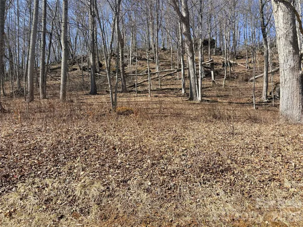 $65,000 | Lot 35 Soothing Waters Drive, Unit 35, Todd, NC 28684