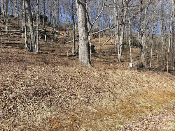 $65,000 | Lot 35 Soothing Waters Drive, Unit 35, Todd, NC 28684