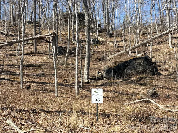 $65,000 | Lot 35 Soothing Waters Drive, Unit 35, Todd, NC 28684