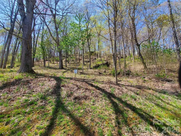 a view of outdoor space with trees