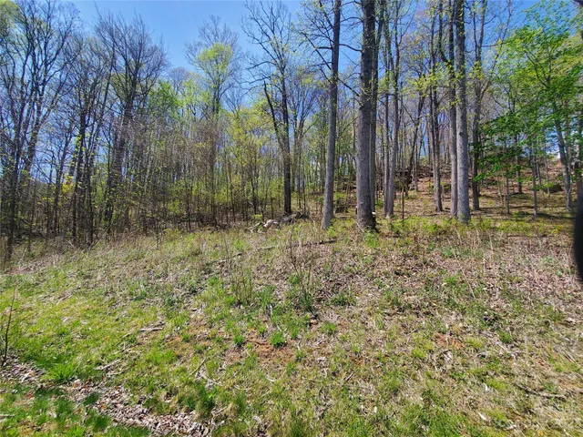 a view of outdoor space with trees