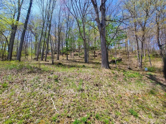 a view of a backyard with trees