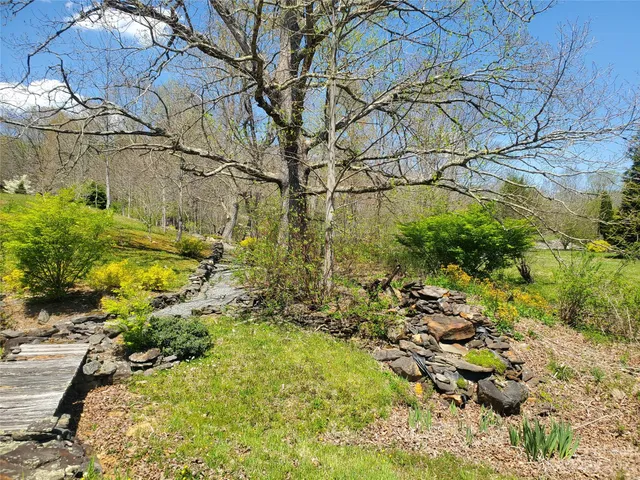 a view of a yard with plants and large trees