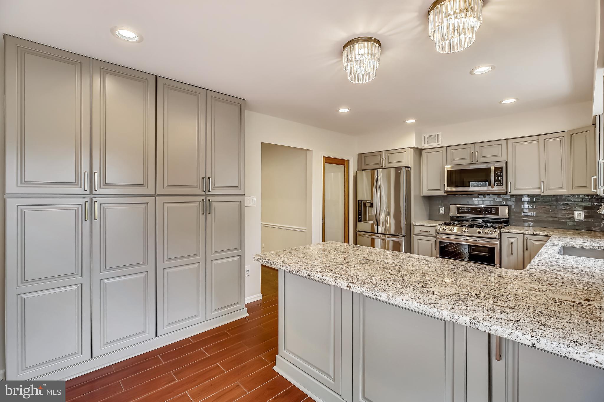 11805 Riding Loop Terrace North Potomac, MD 20878 - Photo 14 of 40 Breakfast Bar and Floor to Ceiling Pantry