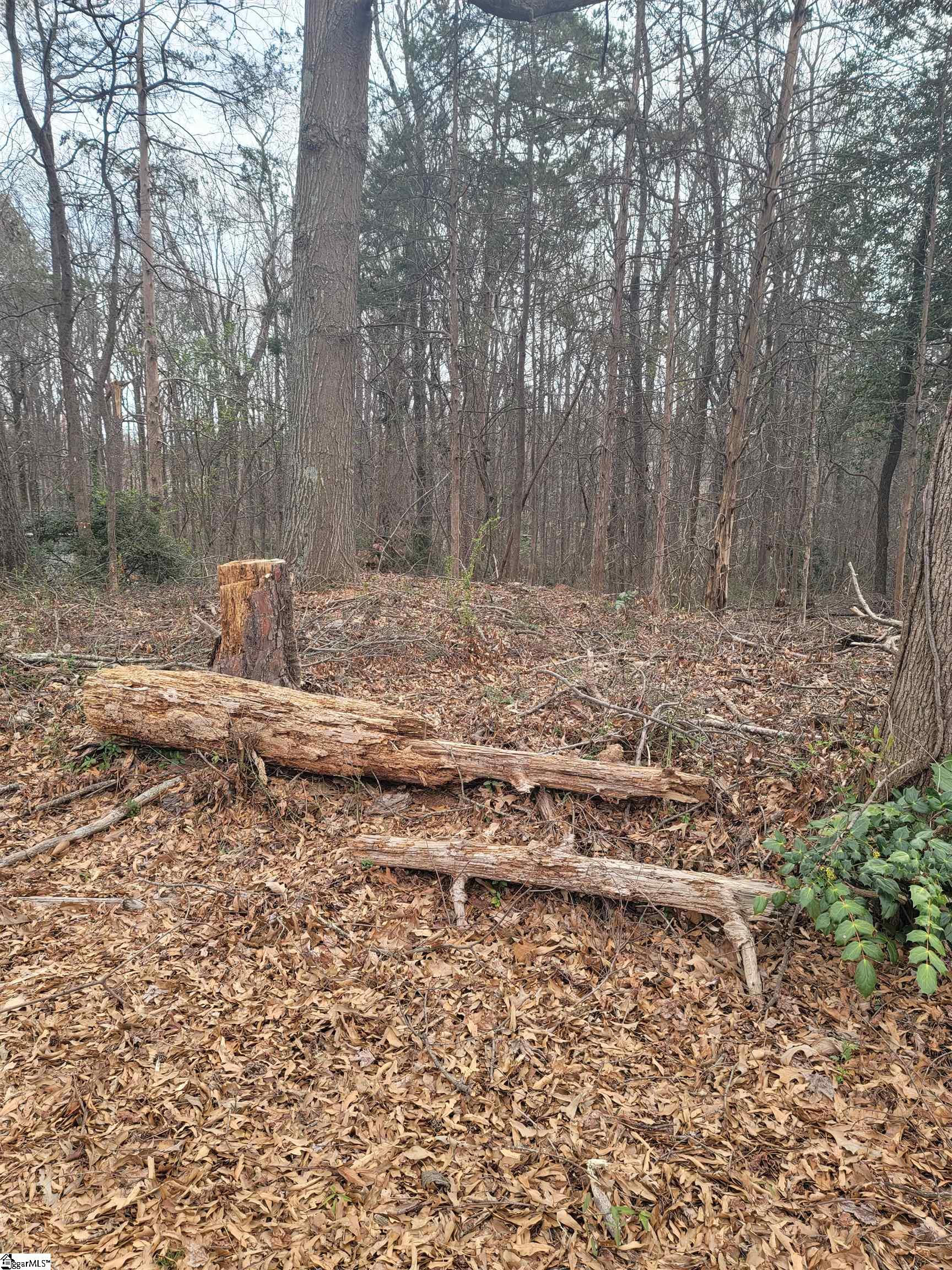 Thompson Road Greenville, SC 29607 - Photo 3 of 3