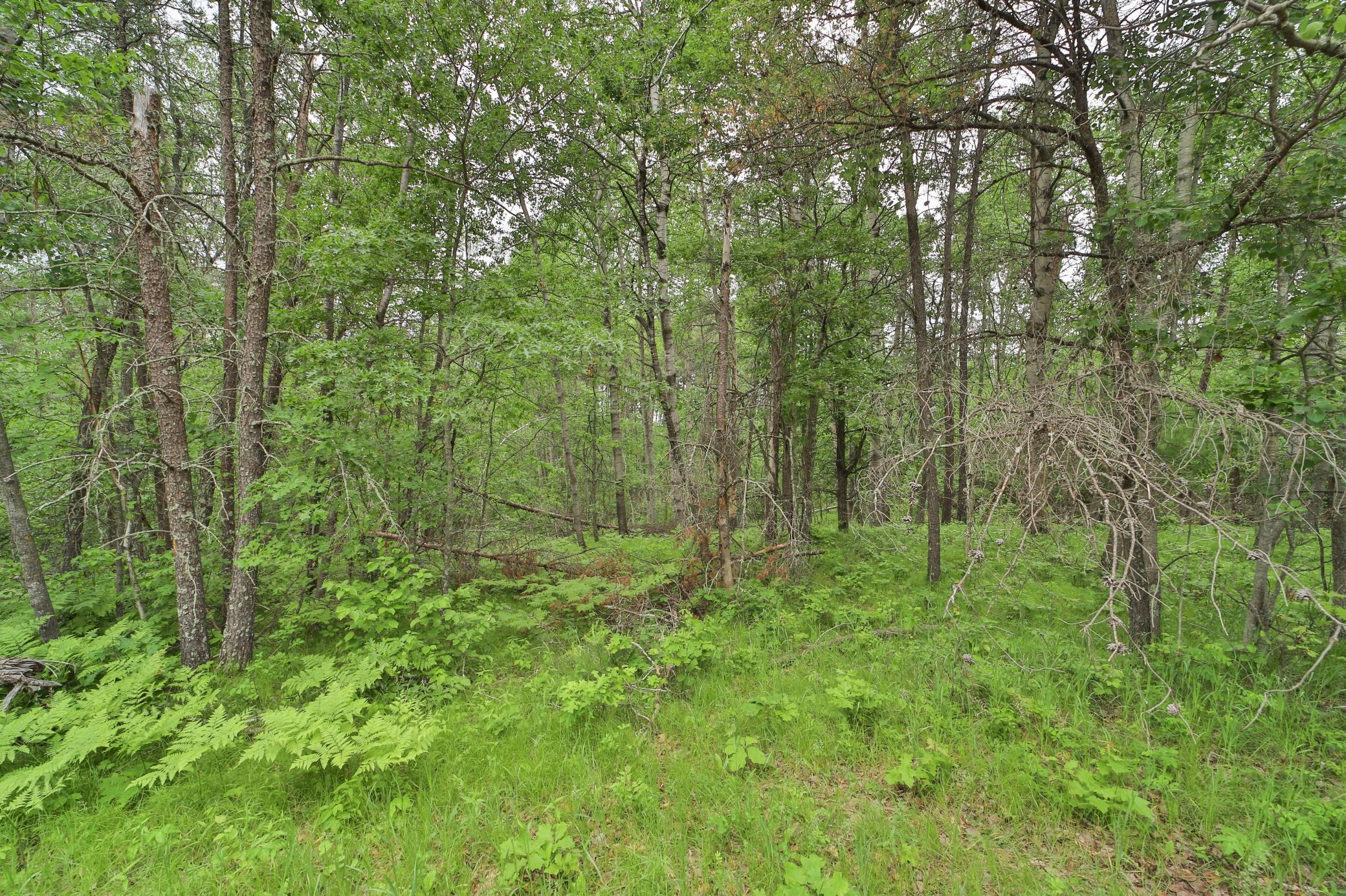 Lot 15 Cedar Street Breezy Point, MN 56472 - Photo 5 of 6