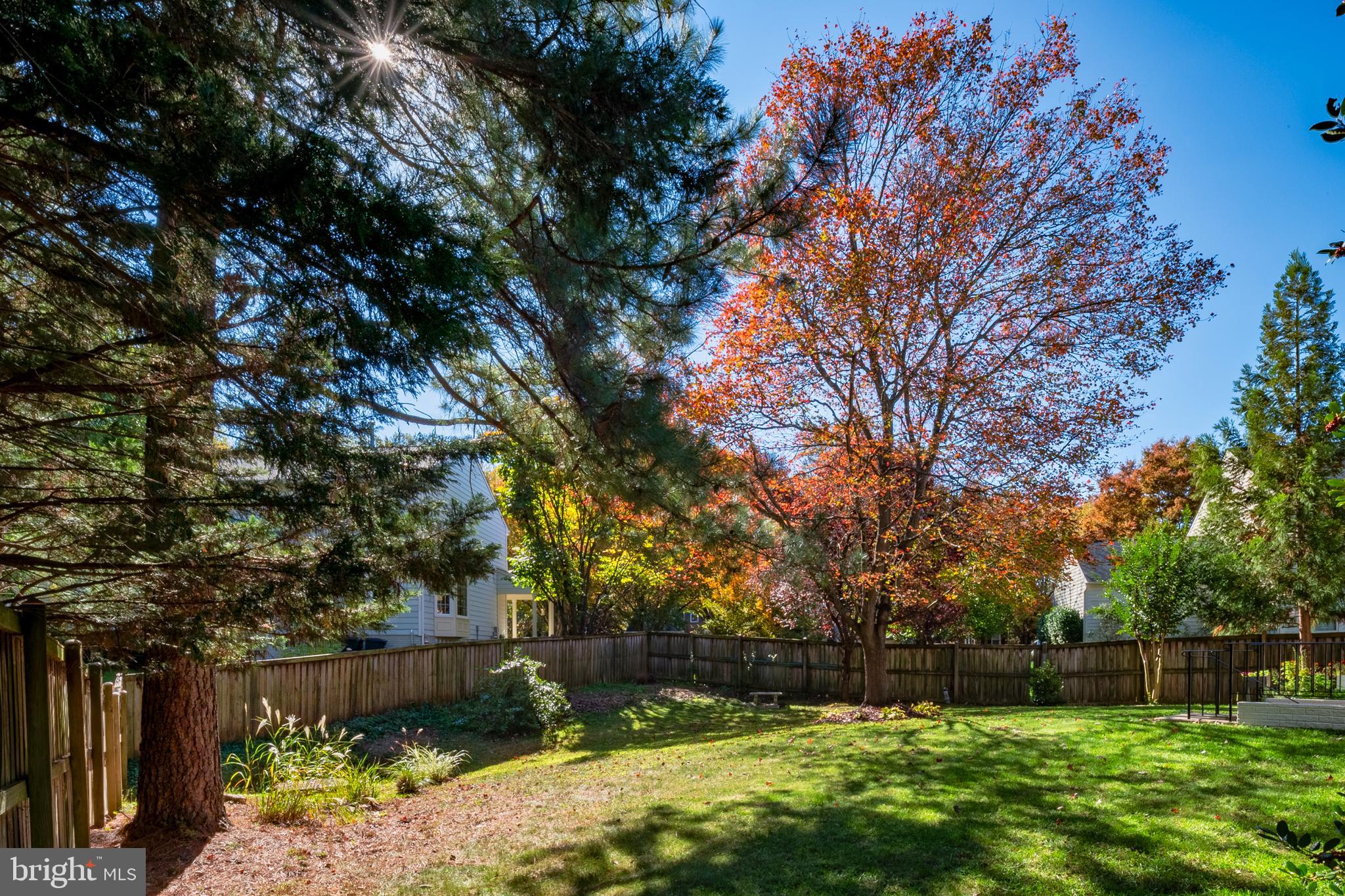 13808 Pleasant View Drive Bowie, MD 20720 - Photo 42 of 46 a backyard of a house with lots of green space