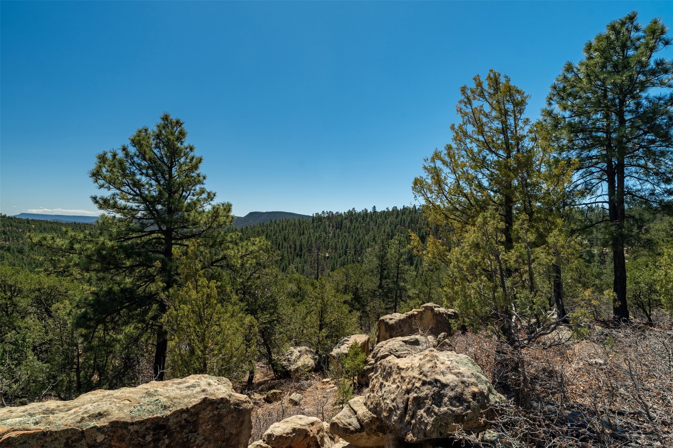30 Monte La Cueva Road Glorieta, NM 87535 - Photo 66 of 91