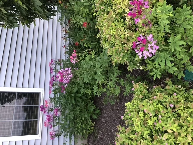 $539,900 | 12660 Birdie Drive, Huntley, IL 60142