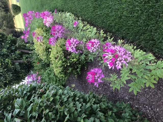 $539,900 | 12660 Birdie Drive, Huntley, IL 60142