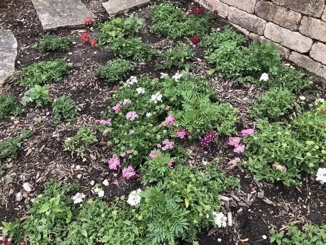 $539,900 | 12660 Birdie Drive, Huntley, IL 60142