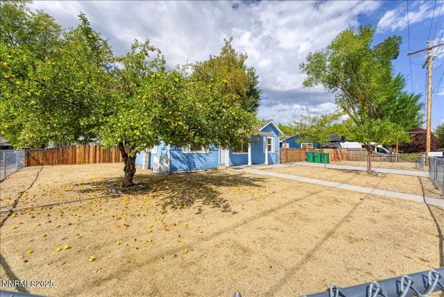 a view of a yard with plants and trees