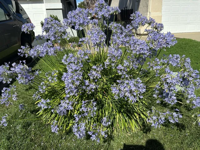 $499,500 | 111 McCurry Street, Wheatland, CA 95692