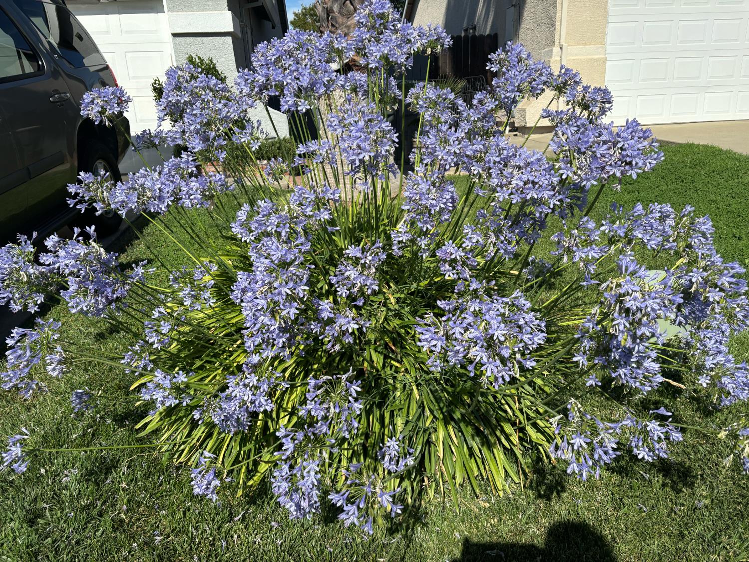 111 McCurry Street Wheatland, CA 95692 - Photo 50 of 55