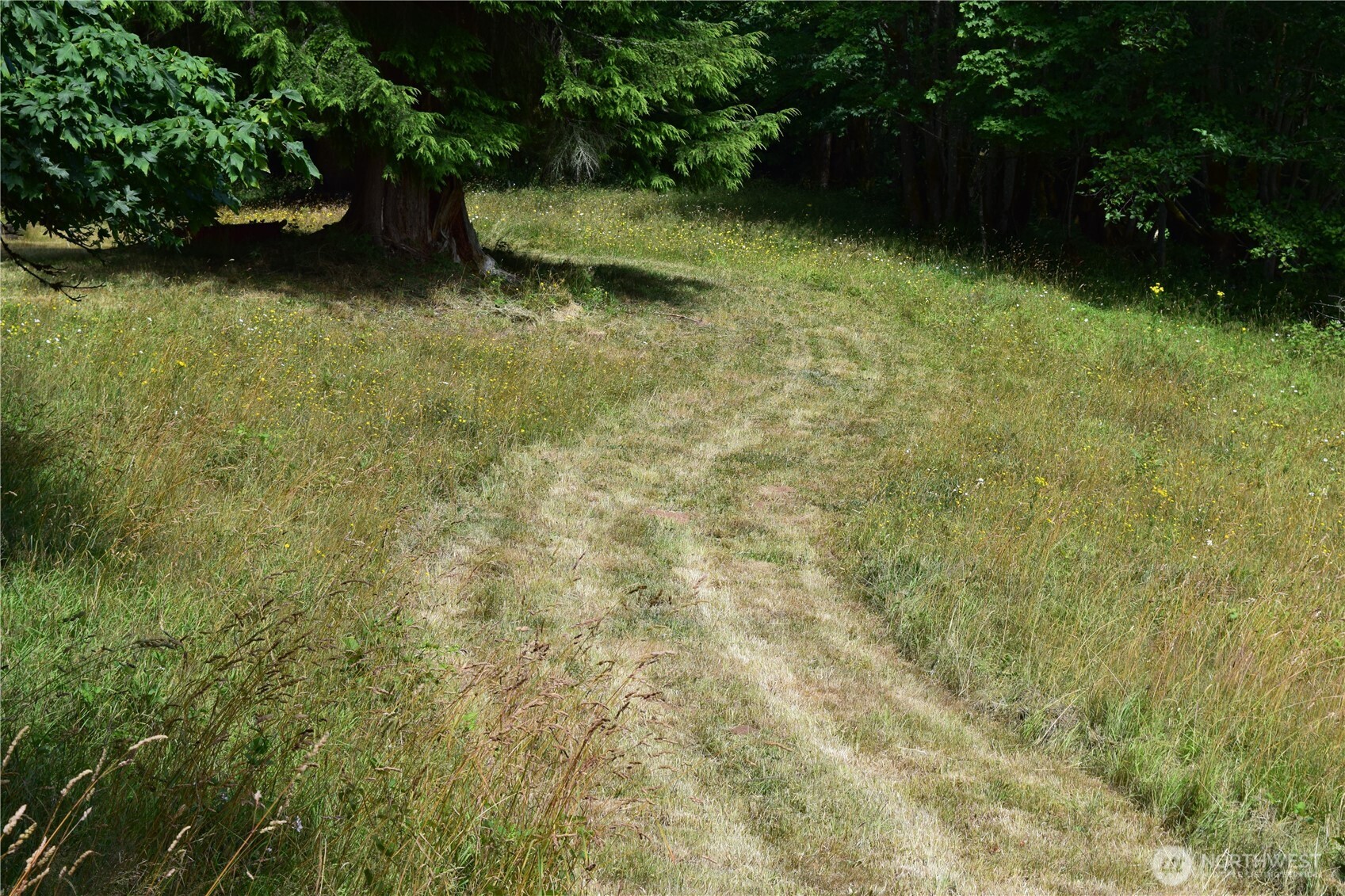 1085 Oak Point Road Longview, WA 98632 - Photo 18 of 29 a view of yard with green space