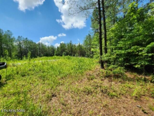 674 Rhodas Way Sunbright, TN 37872 - Photo 15 of 37 20260629_123132