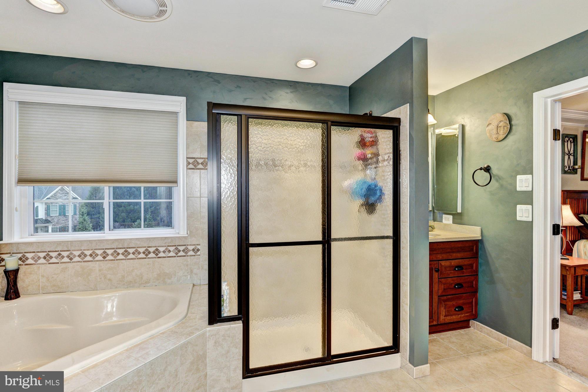 12127 Fulton Ridge Drive Fulton, MD 20759 - Photo 20 of 29 Luxury Master Bath