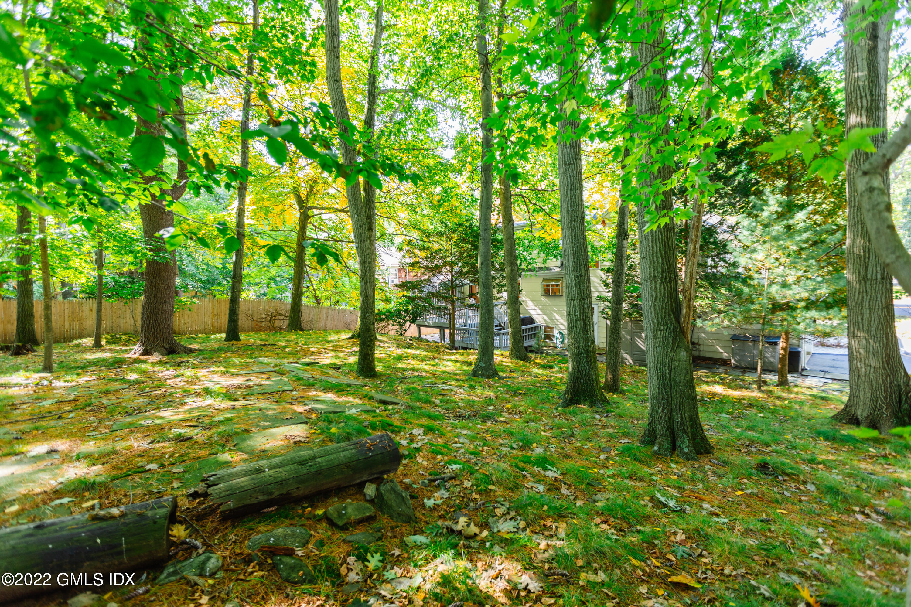65 Laddins Rock Road Old Greenwich, CT 06870 - Photo 38 of 40 a view of a large yard with large trees