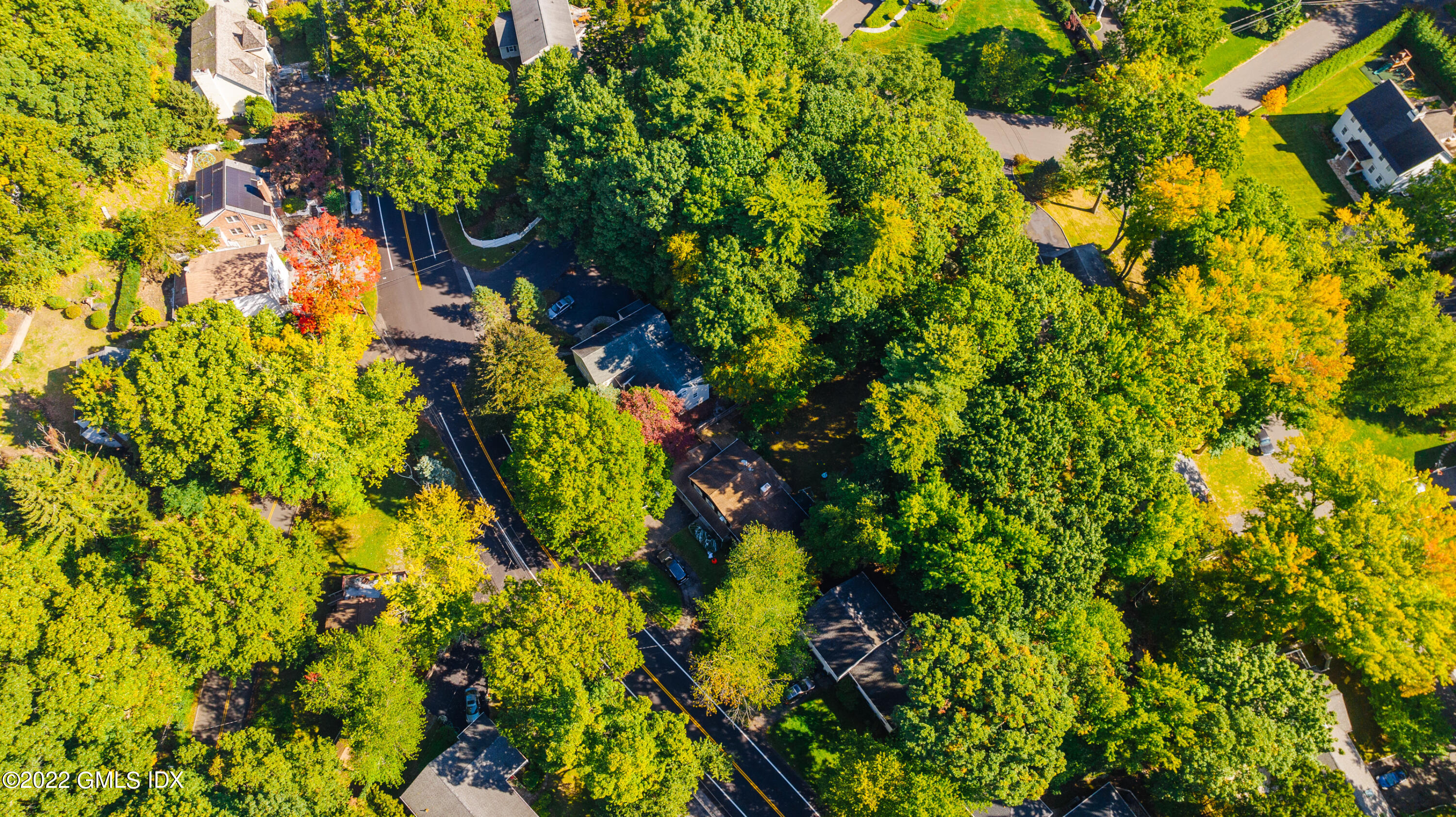 65 Laddins Rock Road Old Greenwich, CT 06870 - Photo 40 of 40 a view of a tree